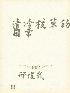 清冷校草的抹布日常