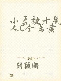 小柔被十几个男人C全篇黄封面