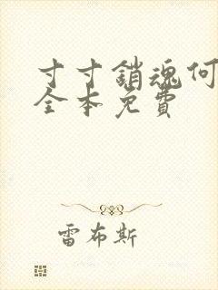 寸寸销魂何生祥全本免费