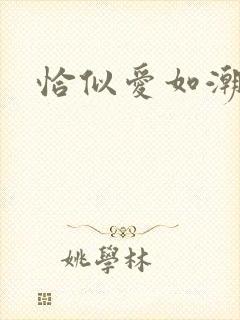 恰似爱如潮封面