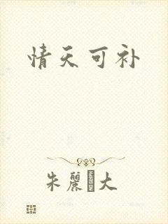 情天可补