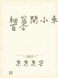 细写开小车车的百合封面