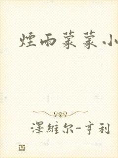 烟雨蒙蒙小说封面