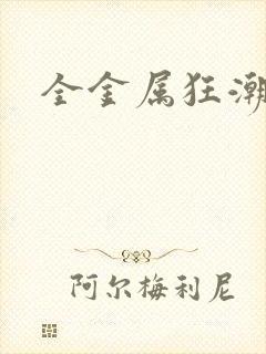 全金属狂潮小说