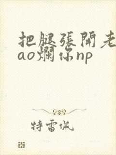 把腿张开老子cao烂你np