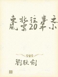 东北往事之黑道风云20年小说