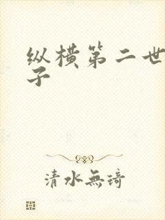 纵横第二世界宽子