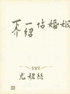 下一站婚姻剧情介绍