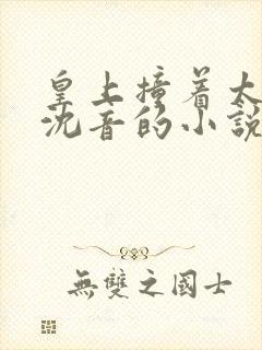 皇上撞着太子妃沈音的小说叫什么