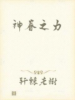 神眷之力封面