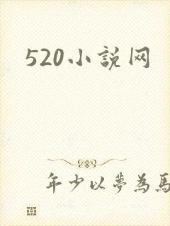 520小说网封面