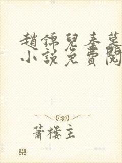 赵锦儿秦慕修的小说免费阅读全文封面