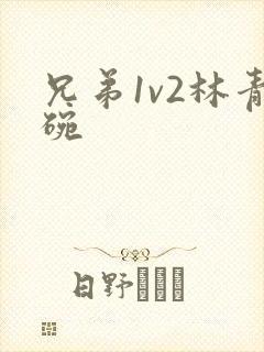 兄弟1v2林青碗