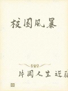 校园风暴