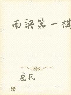 南梁第一棋手封面