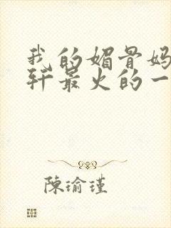 我的媚骨妈妈林轩最火的一句