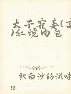 太子宠妾(高肉)红烧肉包封面