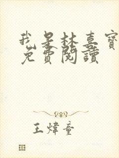 我是林喜宝小说免费阅读封面