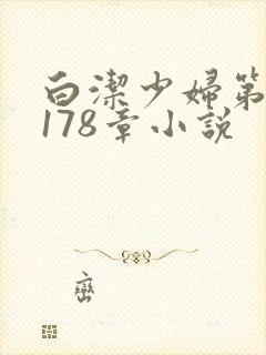 白洁少妇第1一178章小说