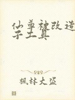 仙尊被改造成产子工具