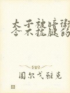 太子被暗卫c到合不拢腿的后果