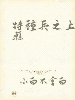 特种兵之上你成瘾封面