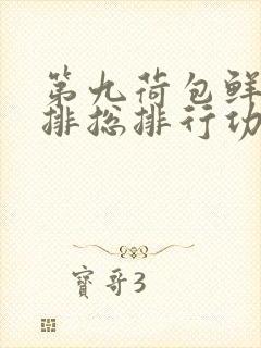 第九荷包鲜辣肉排总排行功能介绍