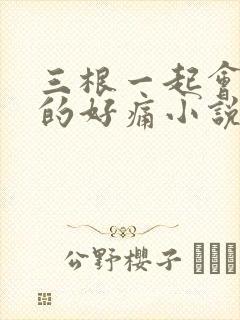 三根一起会坏掉的好痛小说