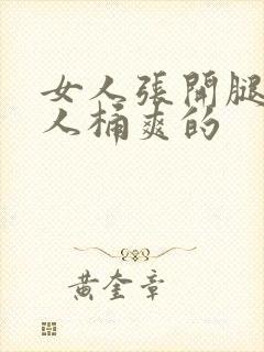 女人张开腿让男人桶爽的