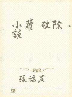 小萝 破除 小说
