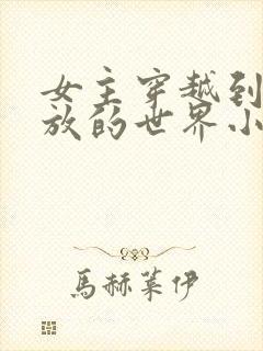 女主穿越到很开放的世界小说封面