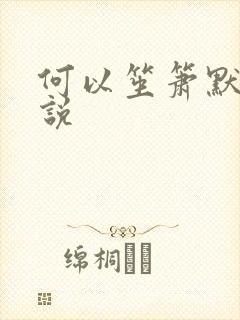 何以笙箫默 小说