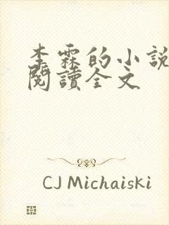 李霖的小说免费阅读全文