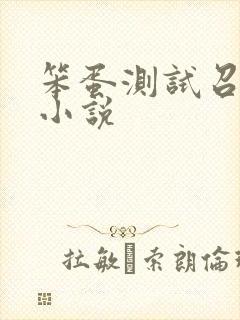 笨蛋测试召唤兽小说