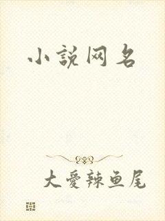 小说网名