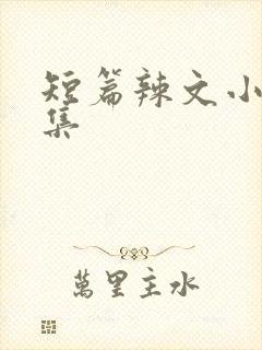 短篇辣文小说合集