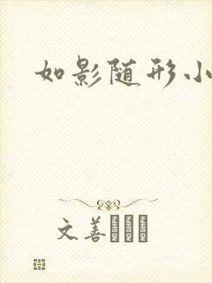 如影随形小说封面