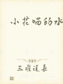 小花喵的水蜜桃封面