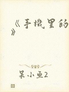 《手机里的秘密》封面