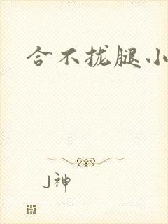 合不拢腿小说