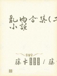 乱肉合集(二)小说