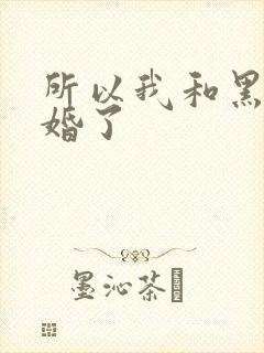 所以我和黑粉结婚了