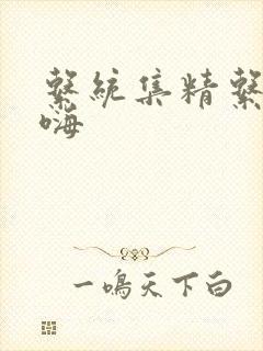 系统集精系统高嗨封面