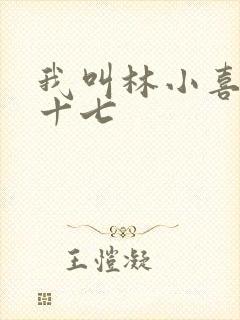 我叫林小喜今年十七封面