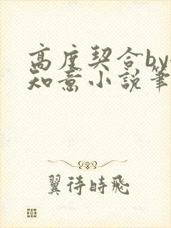 高度契合by洛知意小说笔趣阁无弹窗