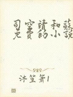 司空靖和苏月汐免费的小说笔趣阁