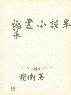 燃尽小说半截白菜