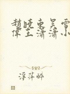 赵晓东吴雪晴郑伟王潇潇小说