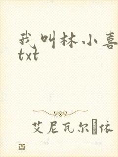 我叫林小喜小说txt