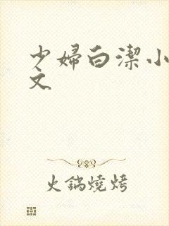 少妇白洁小说全文封面